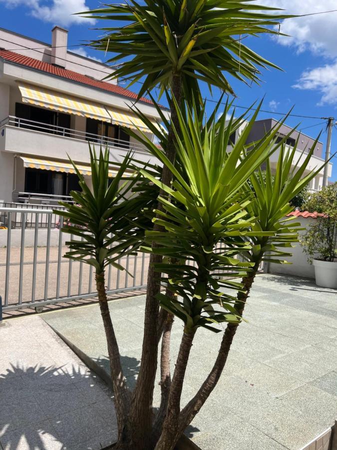 זאדאר Apartments Lili Flora מראה חיצוני תמונה